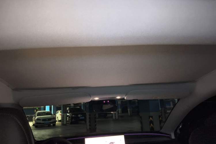 Used Tesla Model 3 2025 Rear-Wheel-Drive Version Headliner