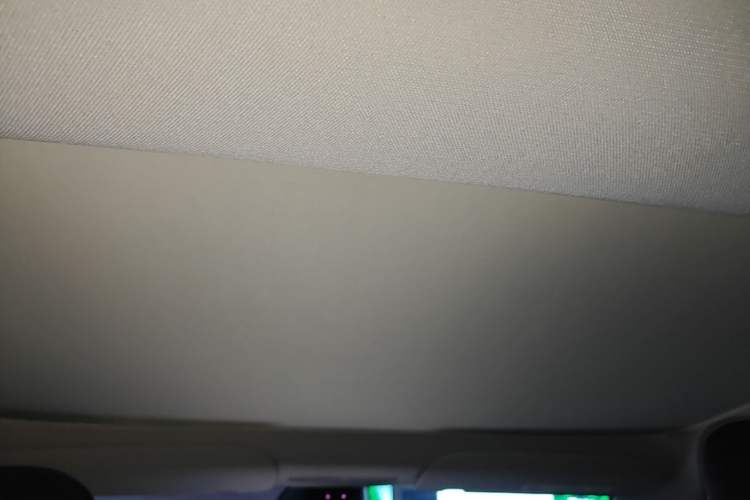 Used Tesla Model 3 2025 Rear-Wheel-Drive Version Headliner