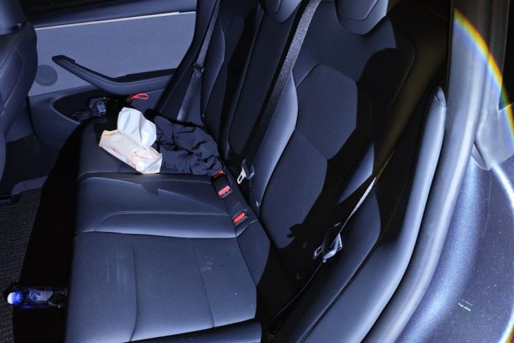 Used Tesla Model 3 2025 Rear-Wheel-Drive Version Left Rear Seat