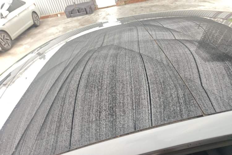 Used Tesla Model 3 2025 Rear-Wheel-Drive Version Roof