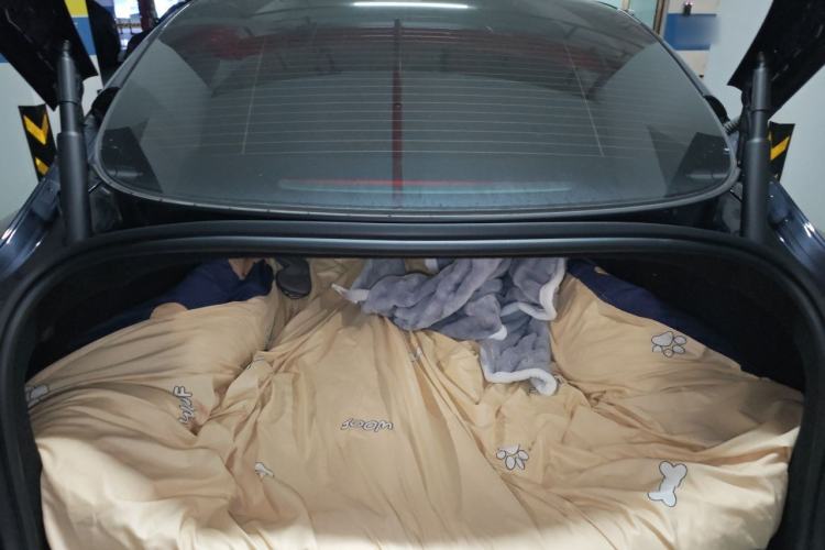 Used Tesla Model 3 2025 Rear-Wheel-Drive Version Trunk