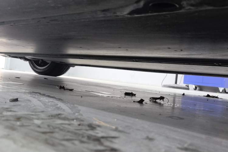 Used Tesla Model 3 2025 Model Long-Range Rear-Wheel-Drive Version Chassis Front Right