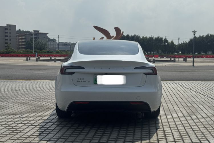 Used Tesla Model 3 2025 Rear-Wheel-Drive Version Exterior 5