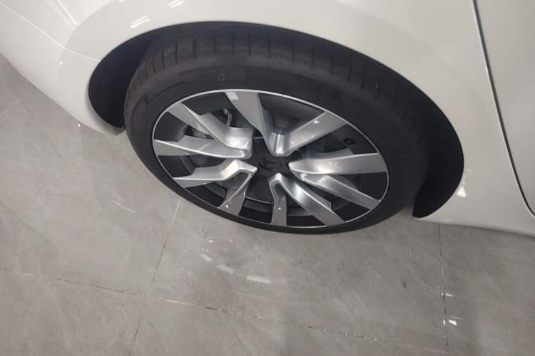 Used Tesla Model 3 2025 Model Long-Range Rear-Wheel-Drive Version Exterior 5