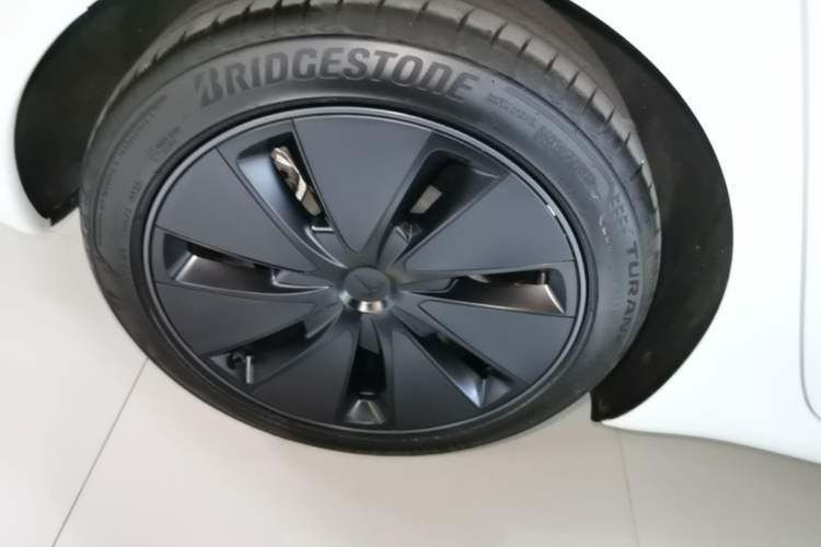 Used Tesla Model 3 2025 Rear-Wheel-Drive Version Exterior 5