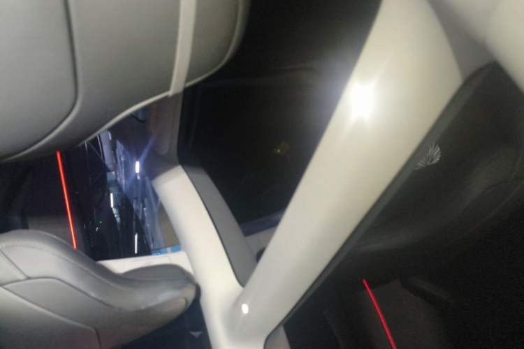 Used Tesla Model 3 2025 Model Revised High-Performance All-Wheel-Drive Version Headliner