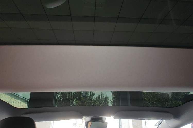 Used Tesla Model 3 2025 Long-Range All-Wheel-Drive Version Headliner