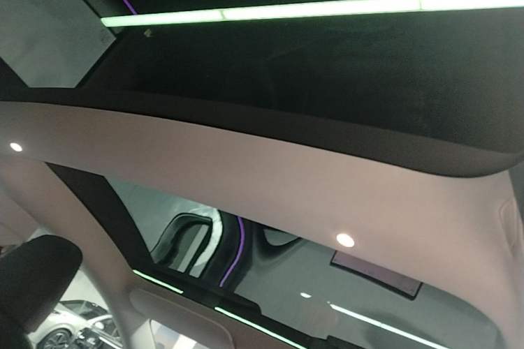 Used Tesla Model 3 2025 Rear-Wheel-Drive Version Headliner