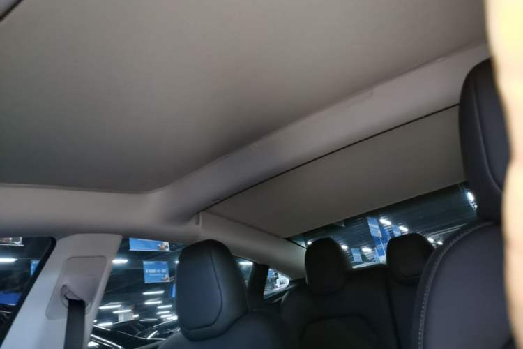Used Tesla Model 3 2025 Rear-Wheel-Drive Version Headliner