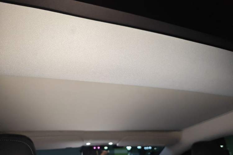 Used Tesla Model 3 2025 Rear-Wheel-Drive Version Headliner