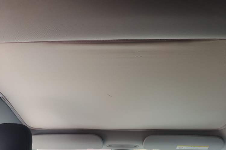 Used Tesla Model 3 2025 Rear-Wheel-Drive Version Headliner