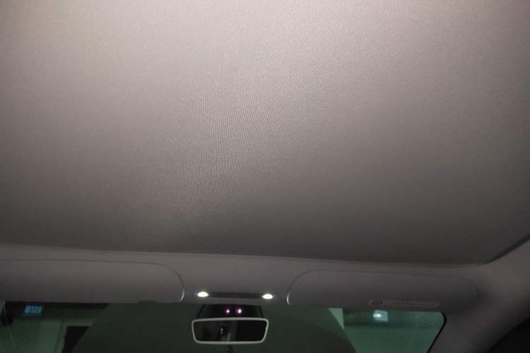 Used Tesla Model 3 2025 Rear-Wheel-Drive Version Headliner