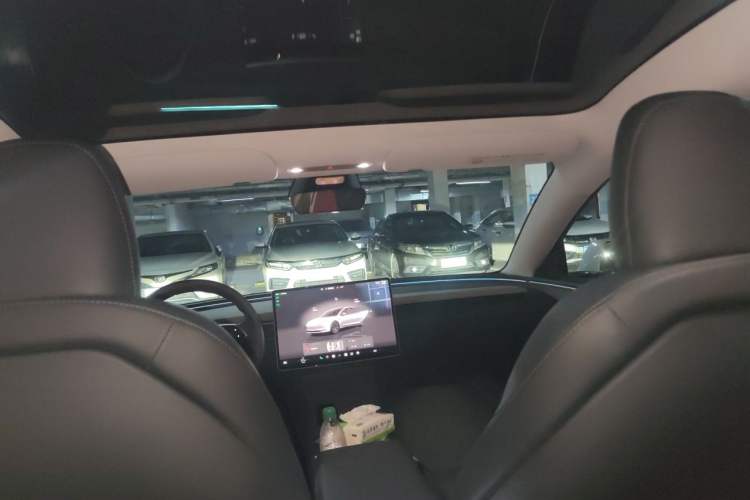 Used Tesla Model 3 2025 Rear-Wheel-Drive Version Headliner