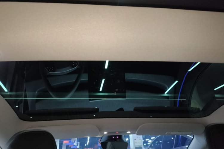 Used Tesla Model 3 2025 Rear-Wheel-Drive Version Headliner