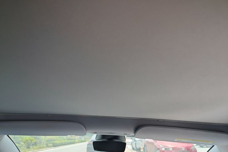 Used Tesla Model 3 2025 Rear-Wheel-Drive Version Headliner