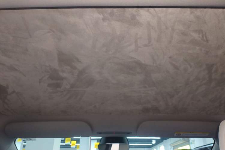 Used Tesla Model 3 2025 Rear-Wheel-Drive Version Headliner