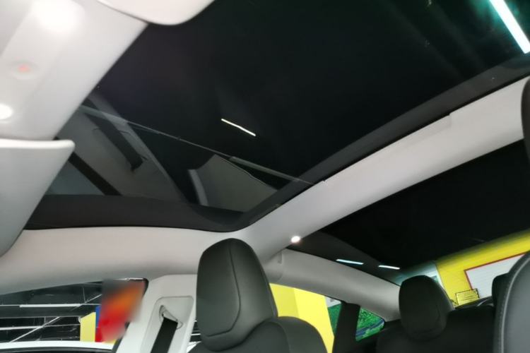 Used Tesla Model 3 2025 Rear-Wheel-Drive Version Headliner