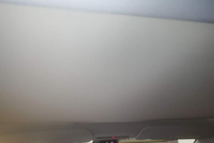 Used Tesla Model 3 2025 Rear-Wheel-Drive Version Headliner