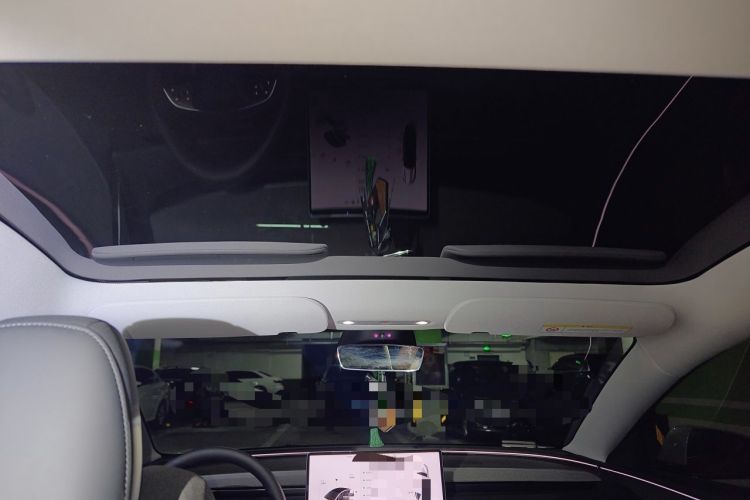 Used Tesla Model 3 2025 Long-Range All-Wheel-Drive Version Headliner