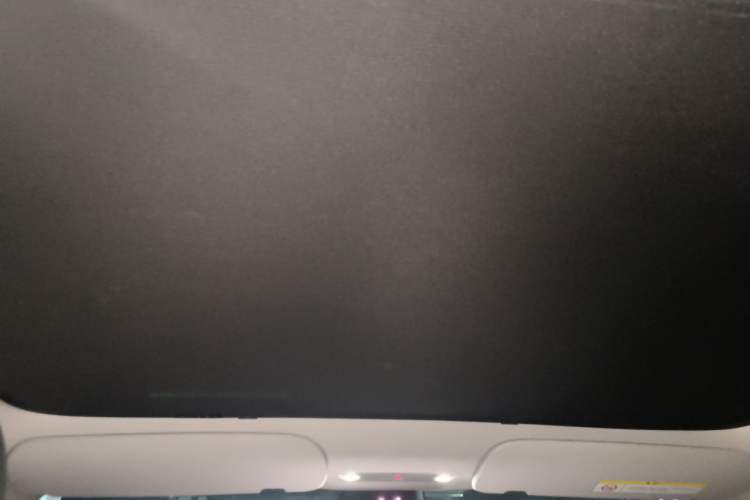 Used Tesla Model 3 2025 Long-Range All-Wheel-Drive Version Headliner