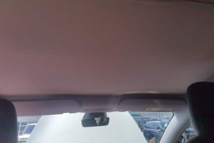 Used Tesla Model 3 2025 Long-Range All-Wheel-Drive Version Headliner
