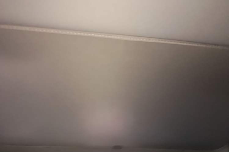 Used Tesla Model 3 2025 Rear-Wheel-Drive Version Headliner