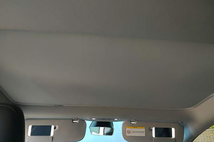 Used Tesla Model 3 2025 Rear-Wheel-Drive Version Headliner