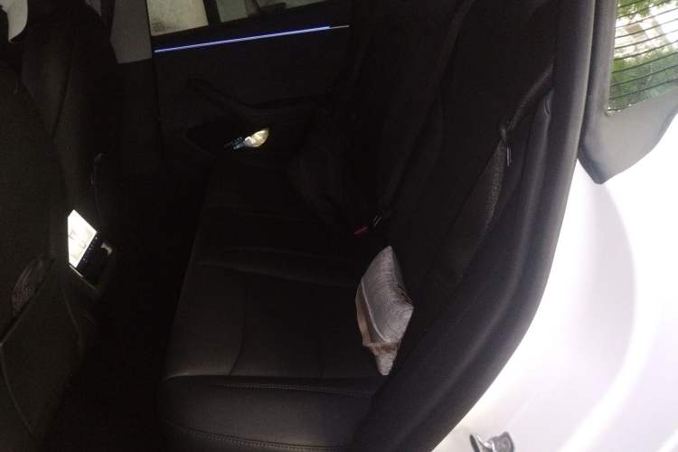 Used Tesla Model 3 2025 Long-Range All-Wheel-Drive Version Interior 4