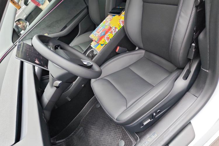 Used Tesla Model 3 2025 Long-Range All-Wheel-Drive Version Left Front Seat