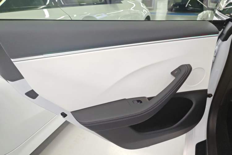 Used Tesla Model 3 2025 Model High-Performance All-Wheel-Drive Version Left Rear Door Interior