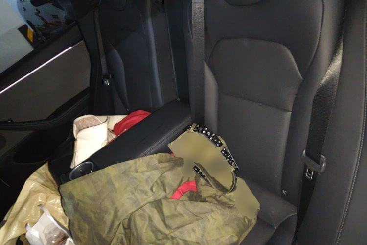 Used Tesla Model 3 2025 Rear-Wheel-Drive Version Left Rear Seat