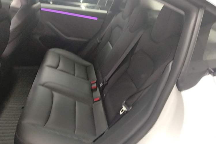 Used Tesla Model 3 2025 Rear-Wheel-Drive Version Left Rear Seat