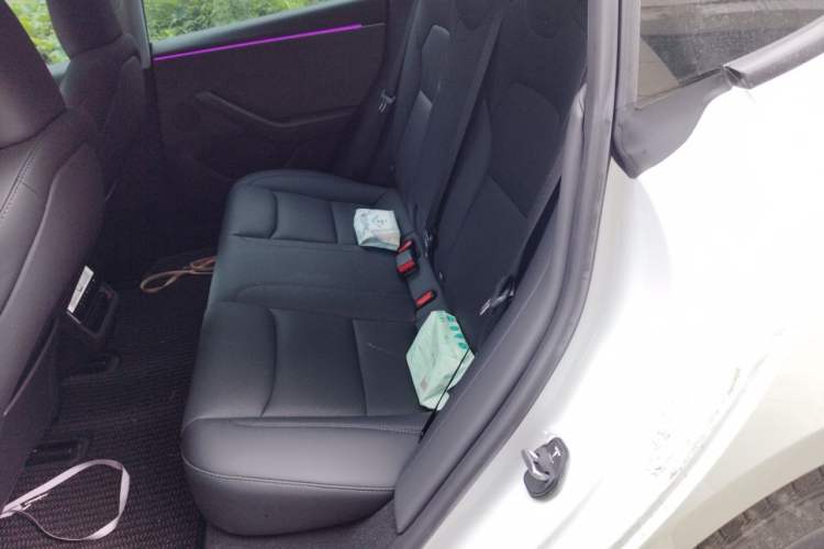 Used Tesla Model 3 2025 Model Revised Rear-Wheel-Drive Version Left Rear Seat