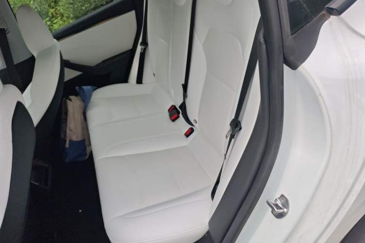 Used Tesla Model 3 2025 Rear-Wheel-Drive Version Left Rear Seat