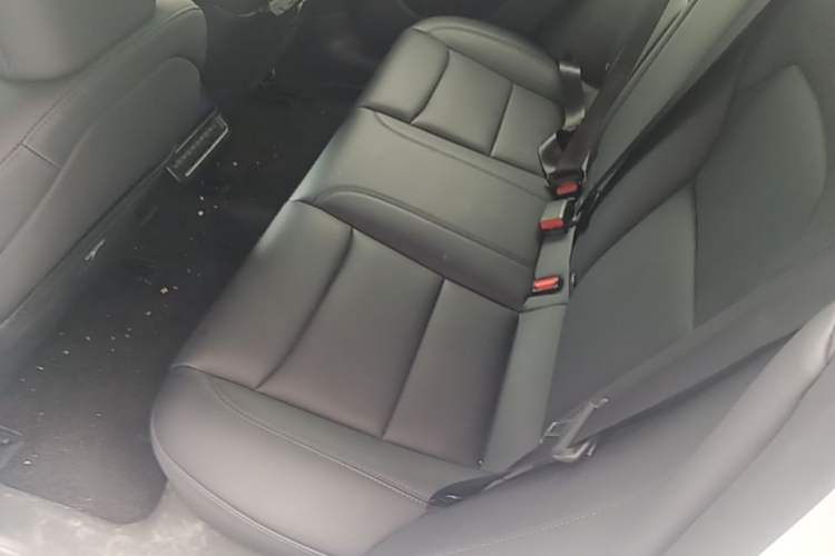 Used Tesla Model 3 2025 Rear-Wheel-Drive Version Left Rear Seat