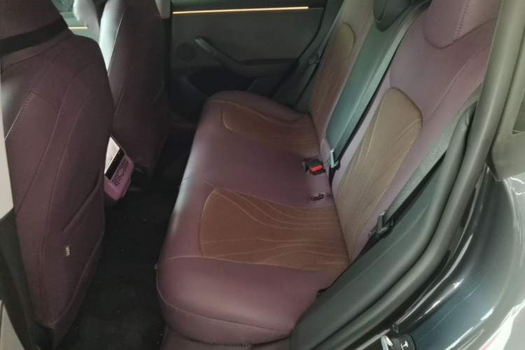 Used Tesla Model 3 2025 Rear-Wheel-Drive Version Left Rear Seat