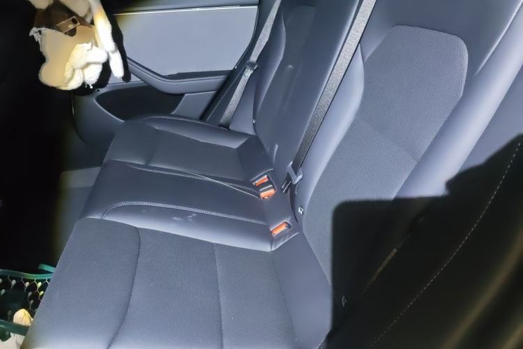 Used Tesla Model 3 2025 Model Revised Rear-Wheel-Drive Version Left Rear Seat
