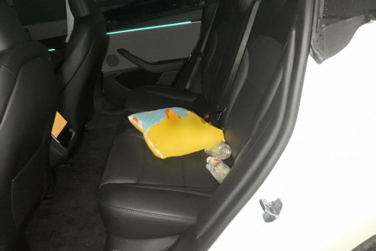 Used Tesla Model 3 2025 Model Long-Range Rear-Wheel-Drive Version Left Rear Seat