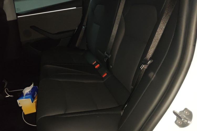 Used Tesla Model 3 2025 Rear-Wheel-Drive Version Left Rear Seat