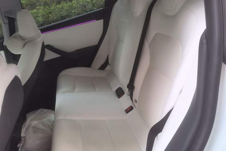 Used Tesla Model 3 2025 Rear-Wheel-Drive Version Left Rear Seat