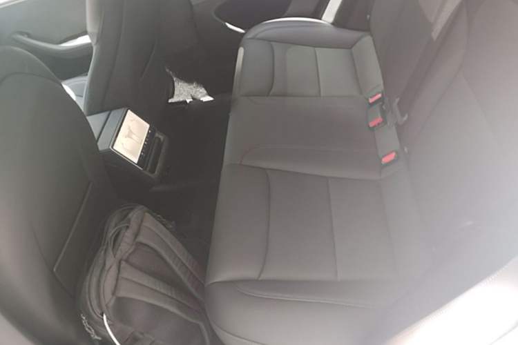 Used Tesla Model 3 2025 Rear-Wheel-Drive Version Left Rear Seat