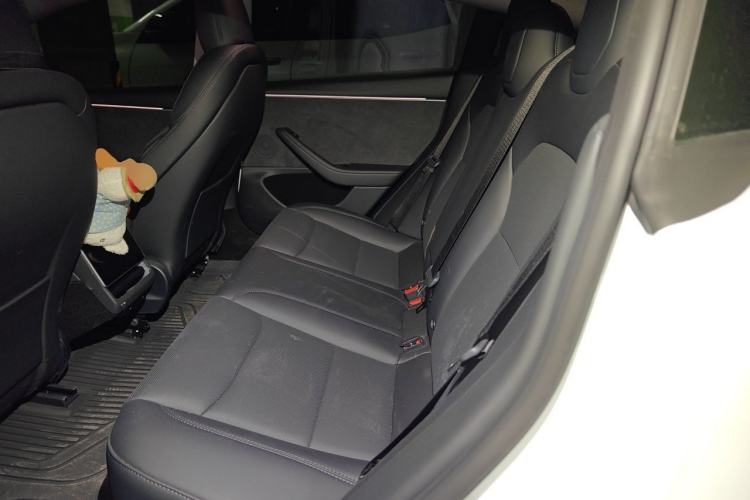 Used Tesla Model 3 2025 Long-Range All-Wheel-Drive Version Left Rear Seat
