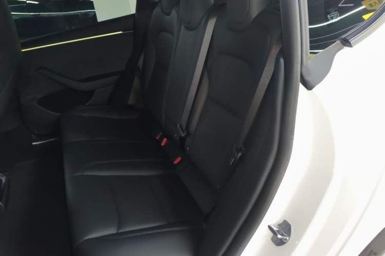 Used Tesla Model 3 2025 Model High-Performance All-Wheel-Drive Version Left Rear Seat