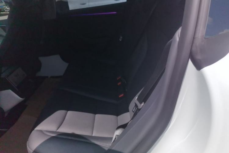 Used Tesla Model 3 2025 Long-Range All-Wheel-Drive Version Left Rear Seat