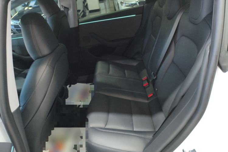 Used Tesla Model 3 2025 Rear-Wheel-Drive Version Left Rear Seat