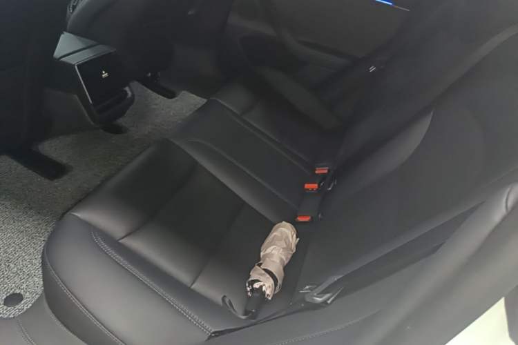 Used Tesla Model 3 2025 Rear-Wheel-Drive Version Left Rear Seat