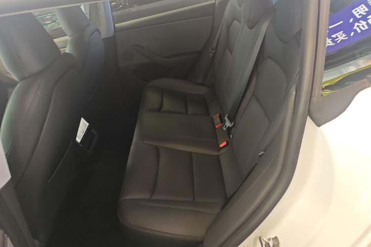 Used Tesla Model 3 2025 Rear-Wheel-Drive Version Left Rear Seat