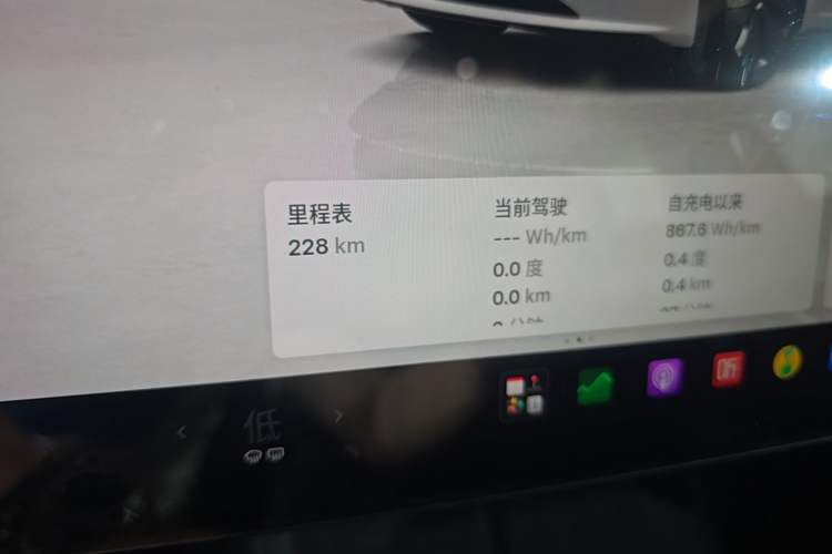 Used Tesla Model 3 2025 Rear-Wheel-Drive Version Odometer Close Up