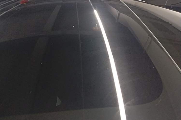 Used Tesla Model 3 2025 Rear-Wheel-Drive Version Roof