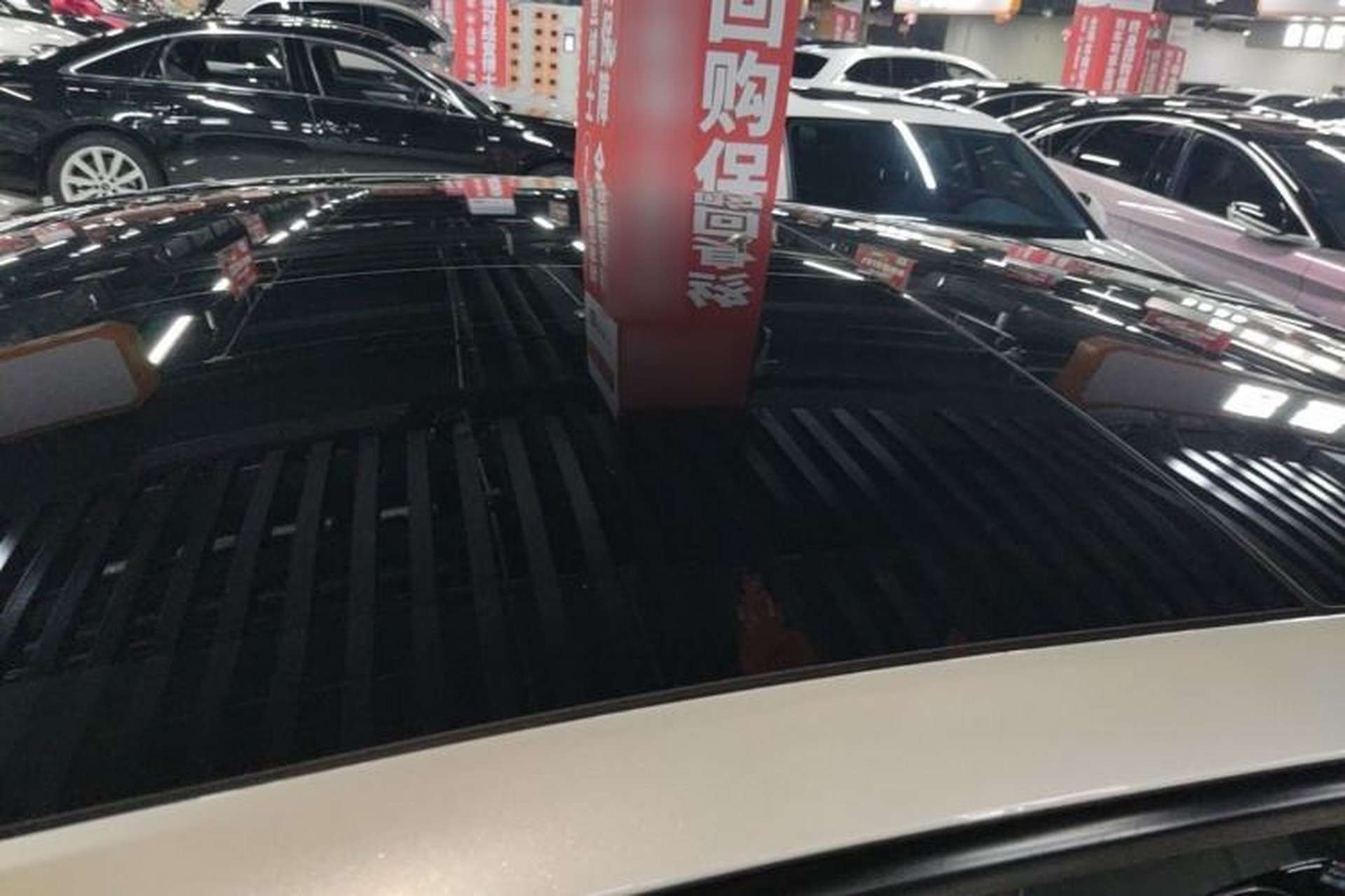Used Tesla Model 3 2025 Long-Range All-Wheel-Drive Version Roof